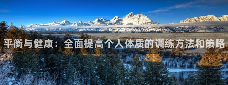 一竞技官方正版app娱乐下载:平衡与健康:全面提高个人体质的