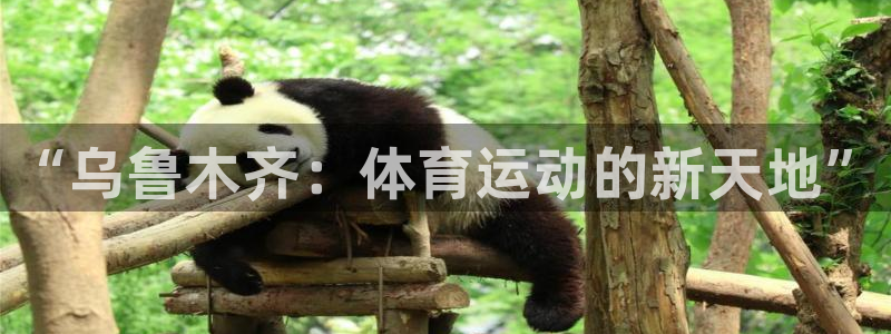 德国一竞技官方正版app集团:“乌鲁木齐:体育运动的新天地”