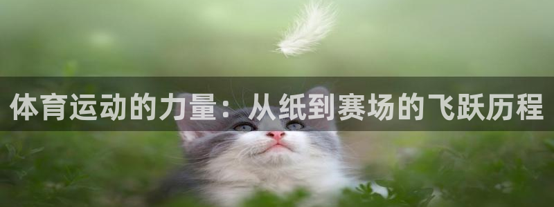 一竞技官网下载平台注册流程图:体育运动的力量:从纸到赛场的飞